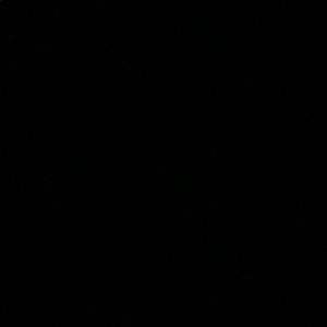 Meet your Posher, Chandler